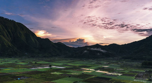 Scenic view of landscape against sky during sunset