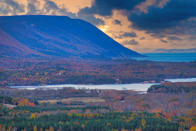 landscape