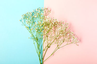 Creative banner with fresh white baby's breath flower