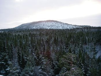 Snow covered landscape against sky