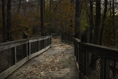 Footbridge amidst trees in forest during autumn