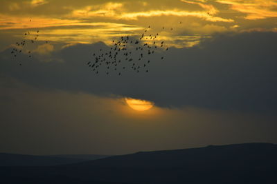 Scenic view of sunset