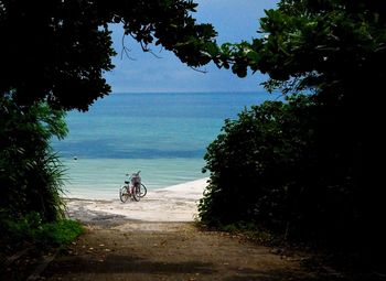 People on bicycle by sea against clear sky