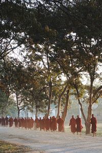 Rear view of people walking on land by trees