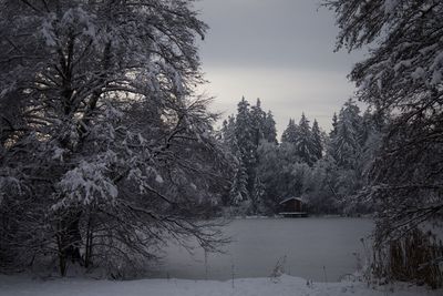 Frozen lake with a small fishing cabin in the snow covered woods and snowy meadows in front