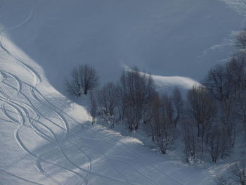 Bare trees on snow covered landscape