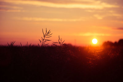 Scenic view of silhouette field against orange sky