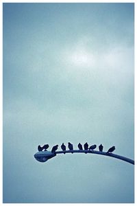 Low angle view of lamp post against sky