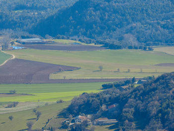 High angle view of agricultural field