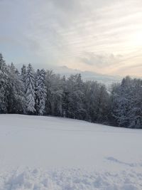 Snow covered land and trees against sky during winter