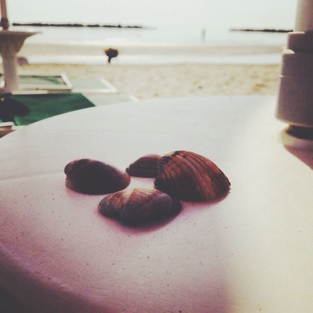 table, indoors, still life, focus on foreground, beach, close-up, food and drink, sand, selective focus, food, wood - material, no people, day, sunlight, sea, wooden, high angle view, fruit, shadow