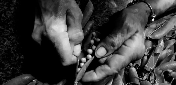 Close-up of hand holding hands