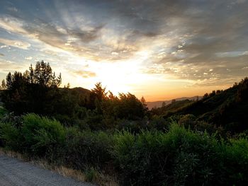 Scenic view of landscape against sky during sunset