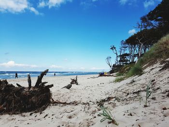 Scenic view of beach against blue sky