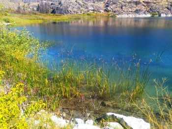 Scenic view of lake