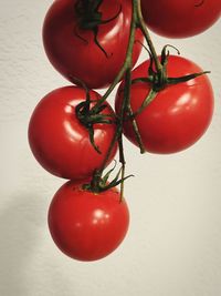Close-up of tomatoes on table against white background