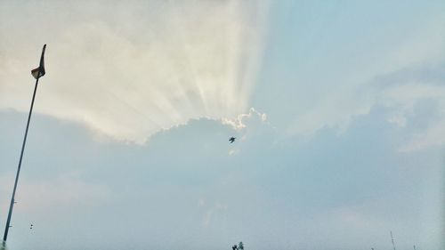 Low angle view of bird flying in sky