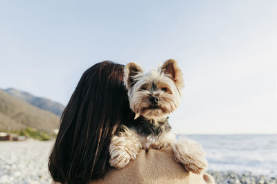 Brunette woman carrying yorkshire terrier at beach