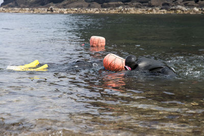 Haenyeo swimming in sea at jeju island