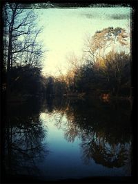 Reflection of trees in water