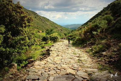 Rear view of people walking on mountain against sky