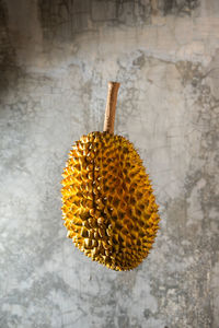 Durian fruit was photographed floating against the background of a cement wall.