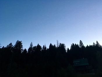 Silhouette trees in forest against clear sky