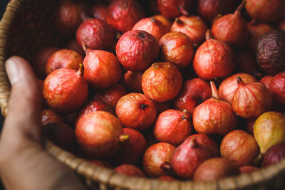 Close-up of hand holding basket of vietnamese figs