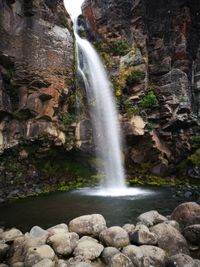 Scenic view of waterfall in forest