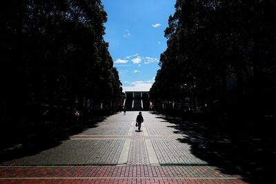 Rear view of woman walking on footpath amidst trees against sky