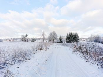 Snow covered road amidst plants against sky