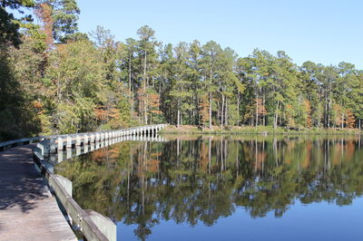 Scenic view of lake by trees against sky