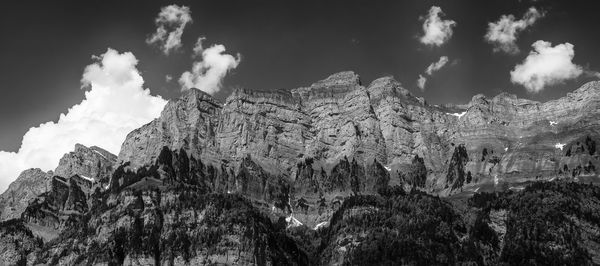 Low angle view of plants growing on rock against sky