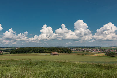 Scenic view of agricultural field against sky