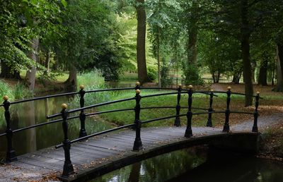 Trees by lake in park during rainy season