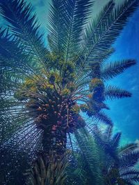 Low angle view of palm tree against blue sky