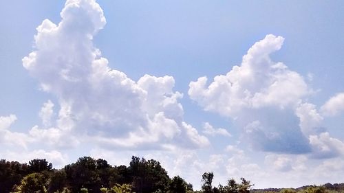 Low angle view of trees against cloudy sky