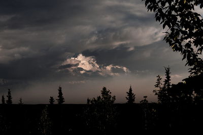 Low angle view of silhouette trees against sky at sunset