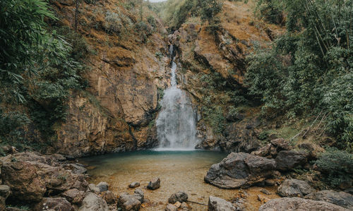 Scenic view of waterfall in forest