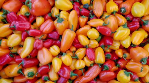 Full frame shot of vegetables for sale