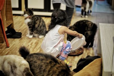 High angle view of girl and cat