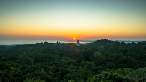 Scenic view of trees against sky during sunset