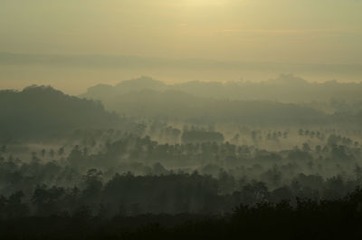 Scenic view of silhouette forest against cloudy sky at sunrise