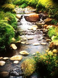 Stream flowing through rocks