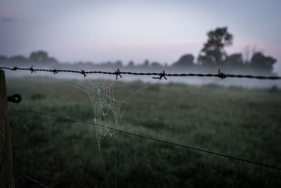 Close-up of spider web barbed wire fence on field against sky