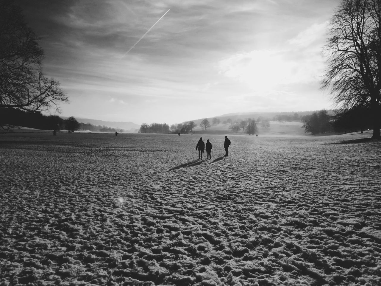 sky, landscape, field, domestic animals, walking, men, tree, tranquility, tranquil scene, nature, animal themes, mammal, cloud - sky, lifestyles, leisure activity, rural scene, scenics, beauty in nature