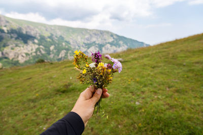 Flowers in the hand of a woman on a background of nature.