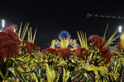 Close-up of flowers against plants at night