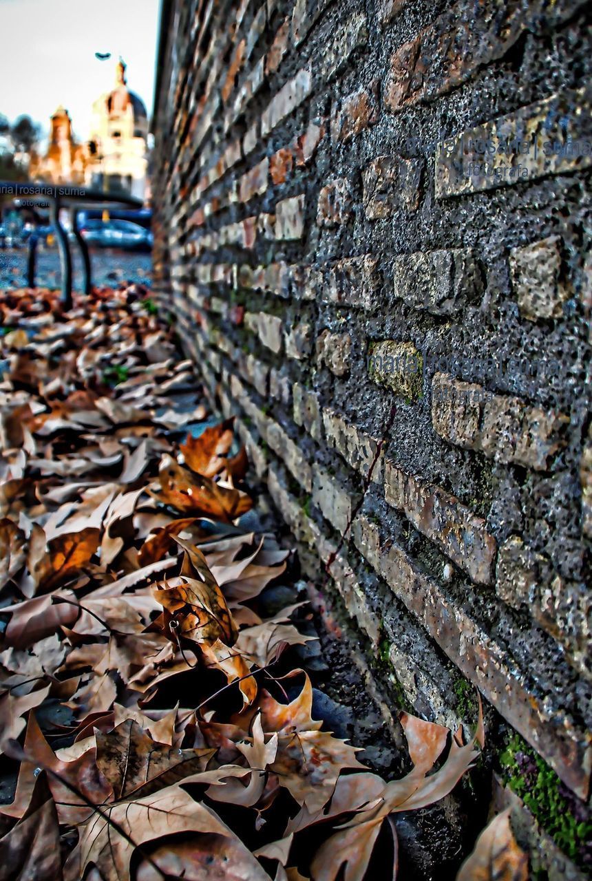 CLOSE-UP OF BRICK WALL WITH AUTUMN LEAVES ON LAND