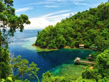 High angle view of trees by sea against sky